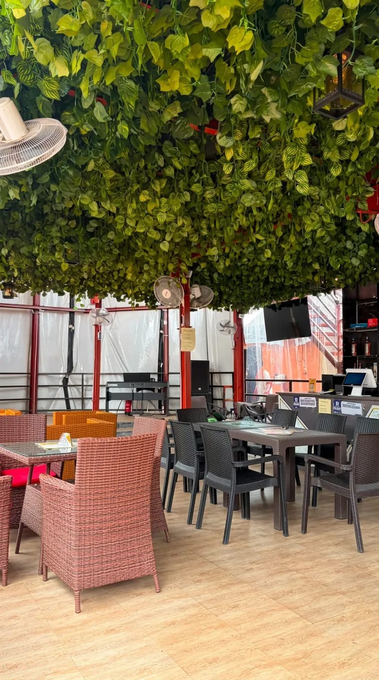 Inside the Quille lounge, leafy green ceiling with wicker seating